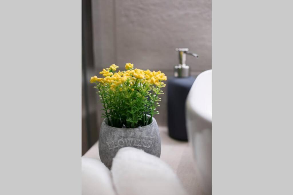 City Center Modern Renovated Apartment เอเธนส์ ภายนอก รูปภาพ